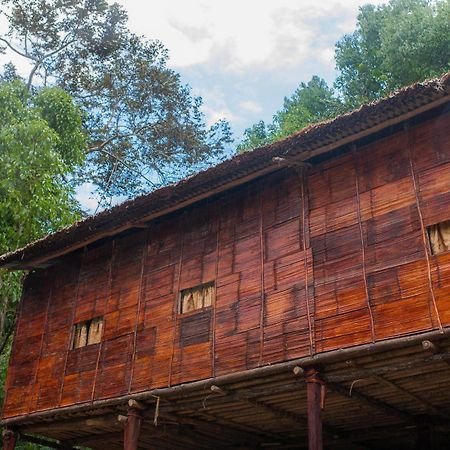 Rain Forest Inn Ringlet 외부 사진