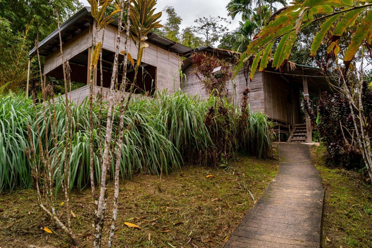Rain Forest Inn Ringlet 외부 사진