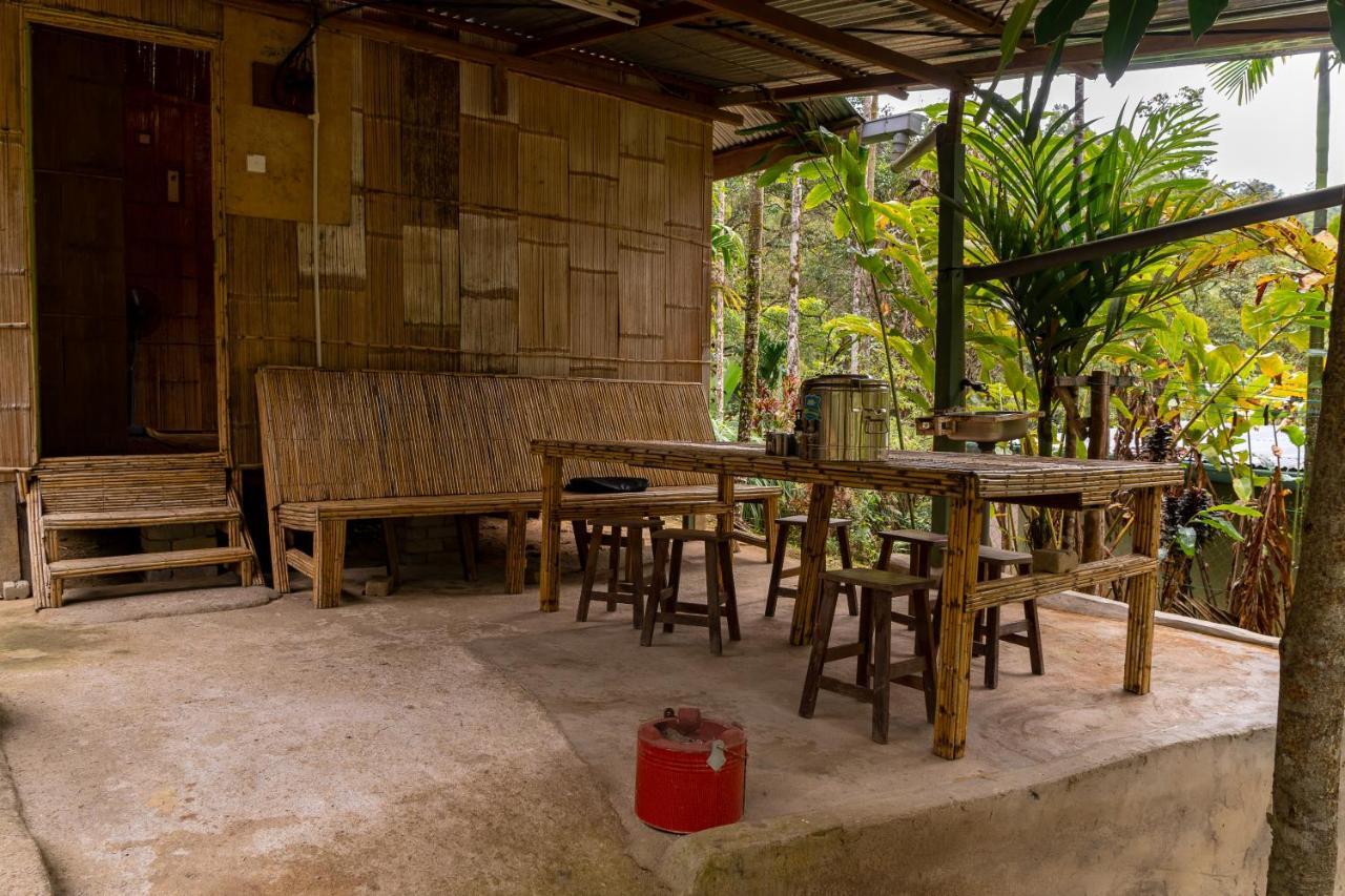Rain Forest Inn Ringlet 외부 사진