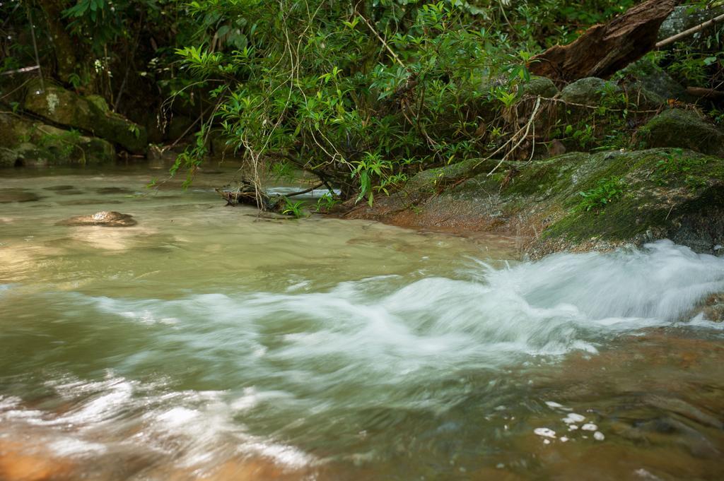Rain Forest Inn Ringlet 외부 사진